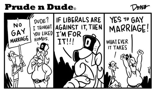 'Dude? I thought you liked homos...If liberals are against it, then I'm for it!!!...Yes to GAY MARRIAGE!'