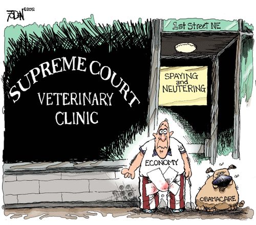 Supreme Court Veterinary Clinic: Spaying and Neutering.