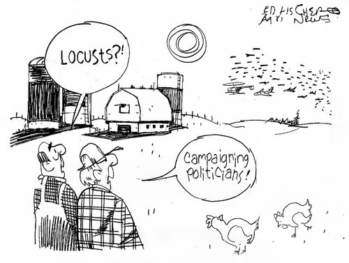 'Locusts?'