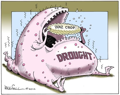 Drought 2012.