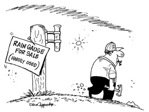 Rain Gauge for Sale (hardly used).