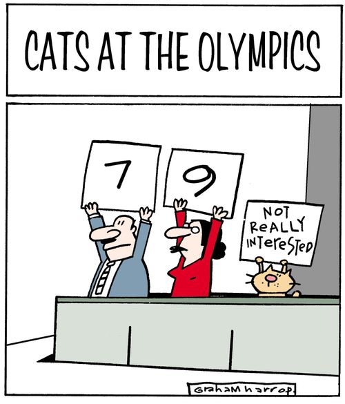 Cats at the Olympics