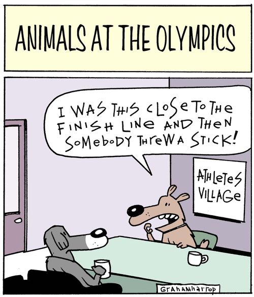 'I was this close to the finish line and then somebody threw a stick!'