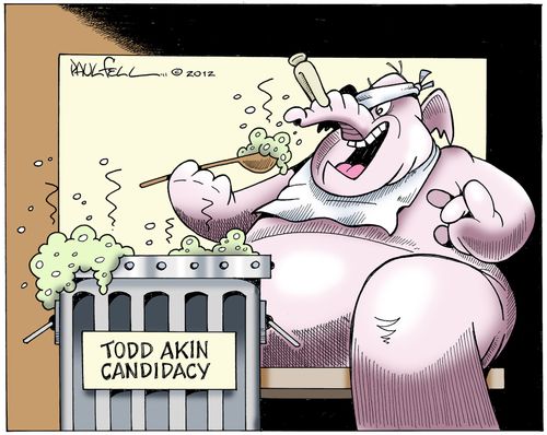 Reluctant Diner: The Todd Akin Candidacy.