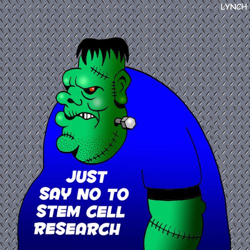 'Just say no to stem cell research.'