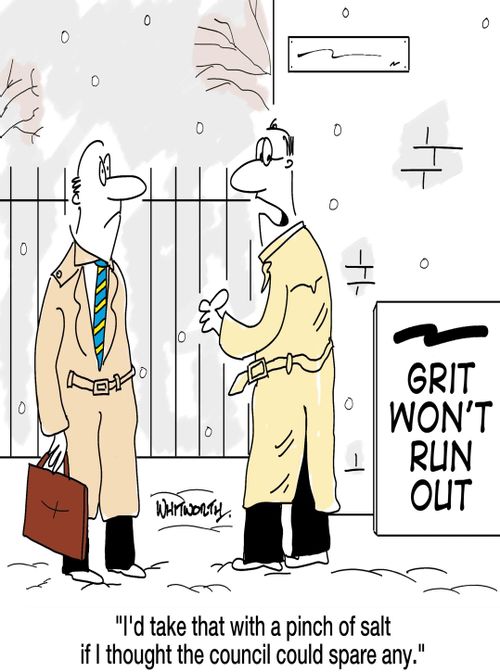 'I'd take that with a pinch of salt if I thought the council could spare any.'
