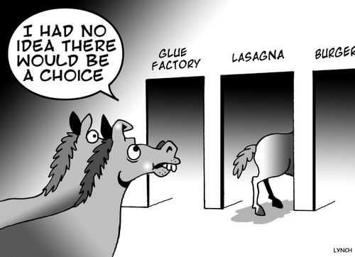 'I had no idea would be a choice.'