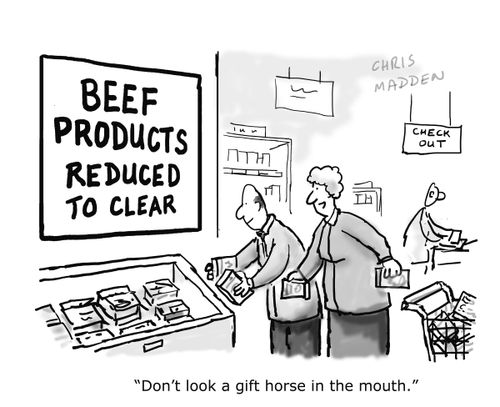 'Don't look a gift horse in the mouth.'