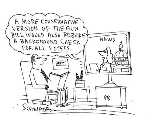 'A more conservative version of the gun bill would also require a background check for all voters.'