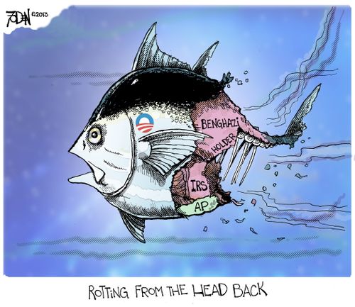 Rotting from the head back.