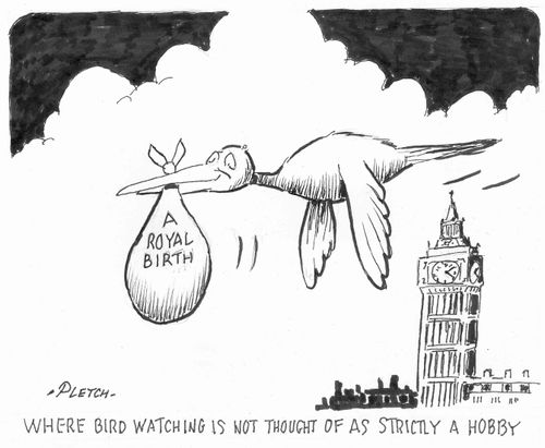 Where bird watching is not thought of as strictly a hobby.