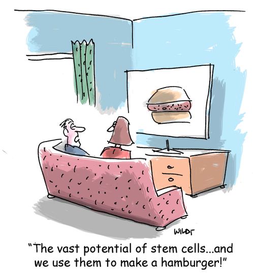'The vast potential of stem cells...and we use them to make a hamburger!'