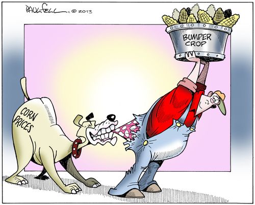 Corn Prices