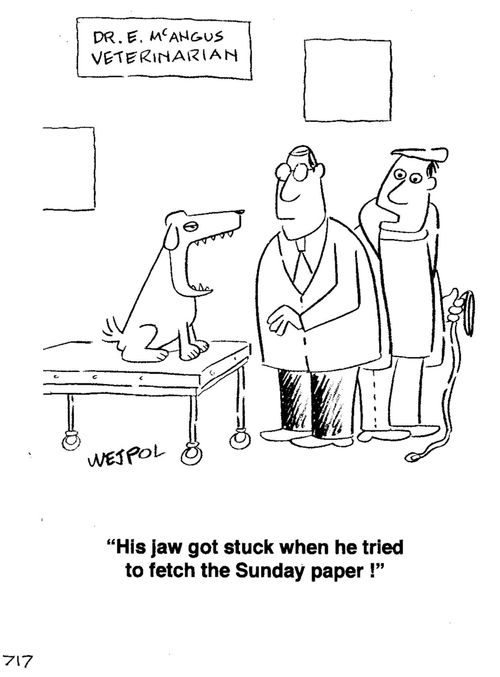 'His jaw got stuck when he tried to fetch the Sunday paper!'