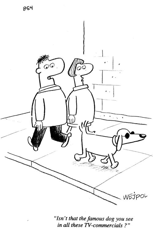 'Isn't that the famous dog you see in all these TV-commercials?'