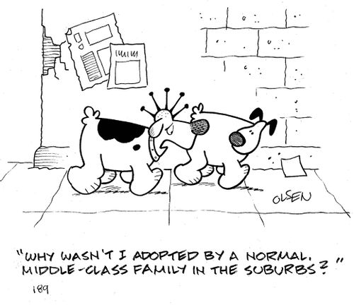 'Why wasn't I adopted by a normal, middle-class family in the suburbs?'