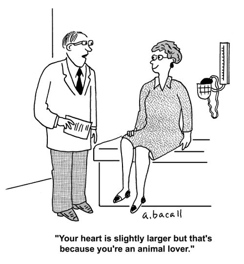 'Your heart is slightly larger but that's because you're an animal lover.'