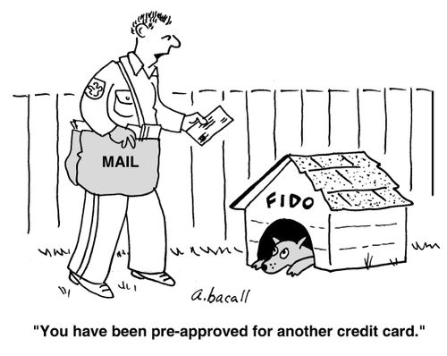'You have been pre-approved for another credit card.'