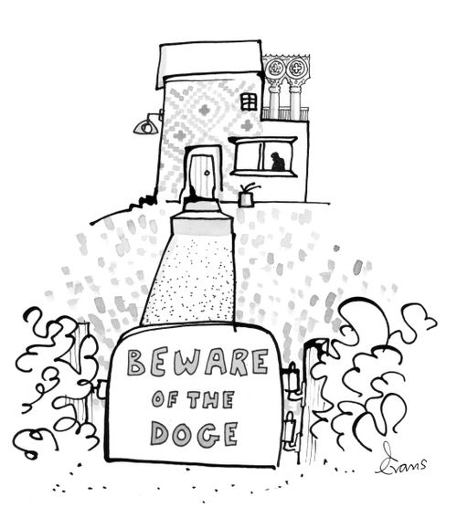 Beware of the Doge.