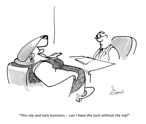 'This nip and tuck business - can I have the tuck without the nip?'