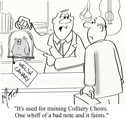 'It's used for training Colliery Choirs. One whiff of a bad note and it faints.'