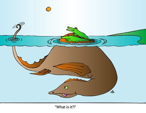 'What is it?!'