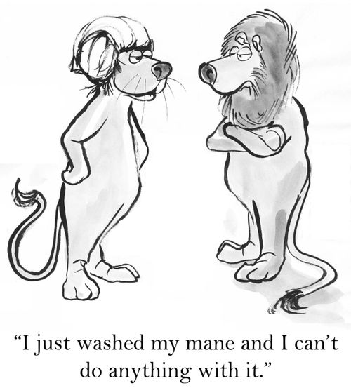 'I just washed my mane and I can't do anything with it.'