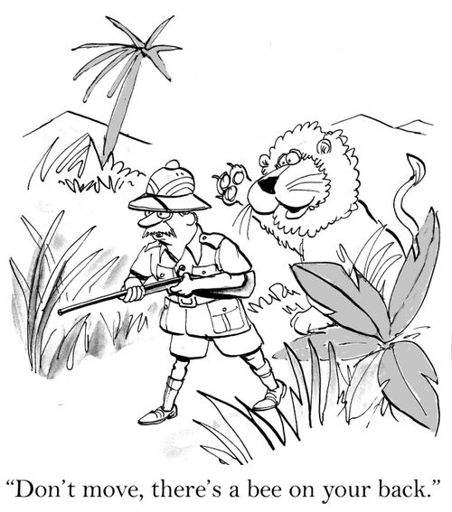 'Don't move, there's a bee on your back.'