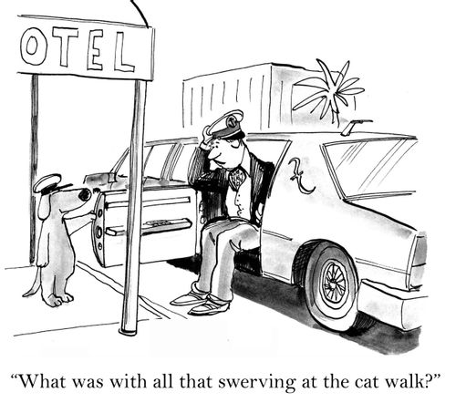 'What was all that swerving at the cat walk?'