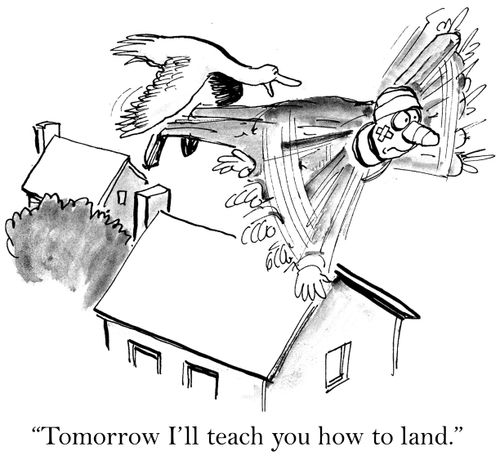 'Tomorrow I'll teach you how to land.'