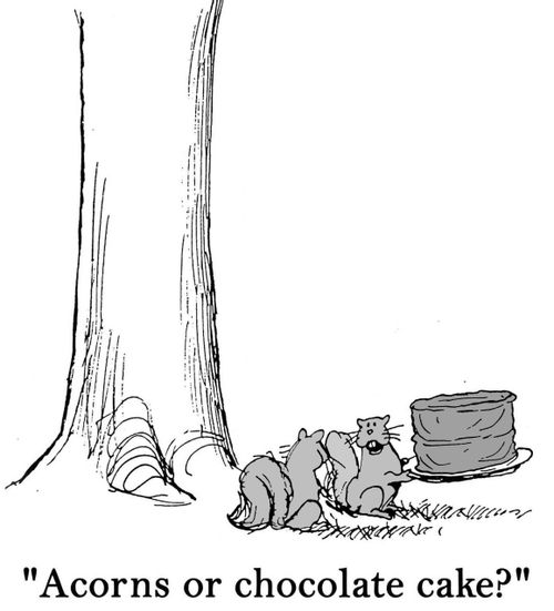 'Acorns or chocolate cake?'