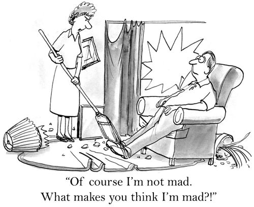 'Of course I'm not mad.  What makes you think I'm mad?!'