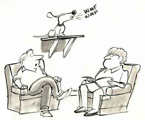 Dog on a Shelf.