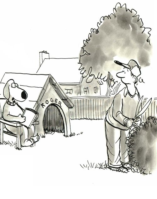 Dog is watching his owner.