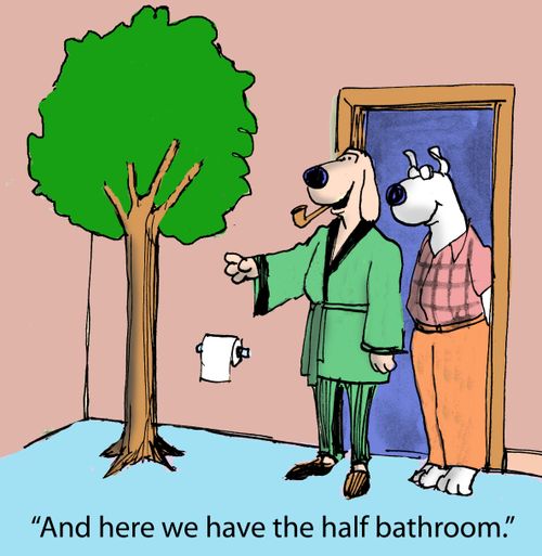 'And here we have the half bathroom.'