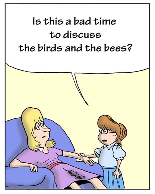 'Is this a bad time to discuss the birds and the bees.'