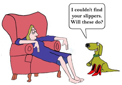 'I couldn't find your slippers. Will these do?'