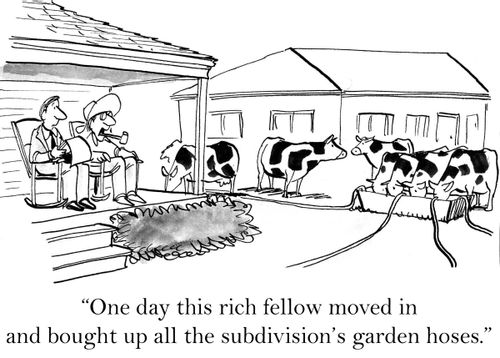 'One day this rich fellow moved in and bought up all the subdivision's garden hoses.'