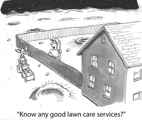 'Know any good lawn care services?'