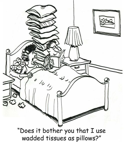 'Does it bother you that I use wadded tissues as pillows?'