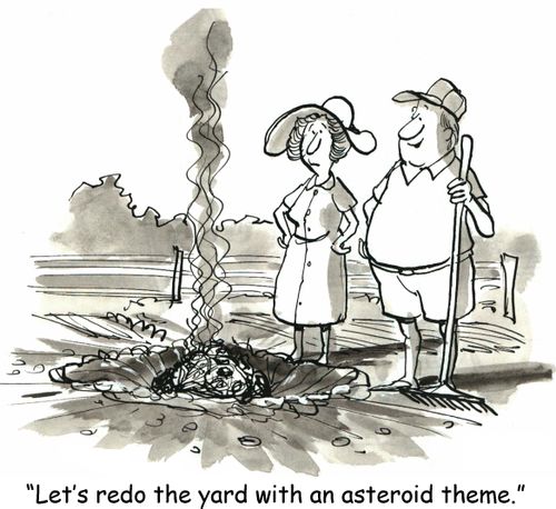 'Let's redo the yard with an asteroid theme.'