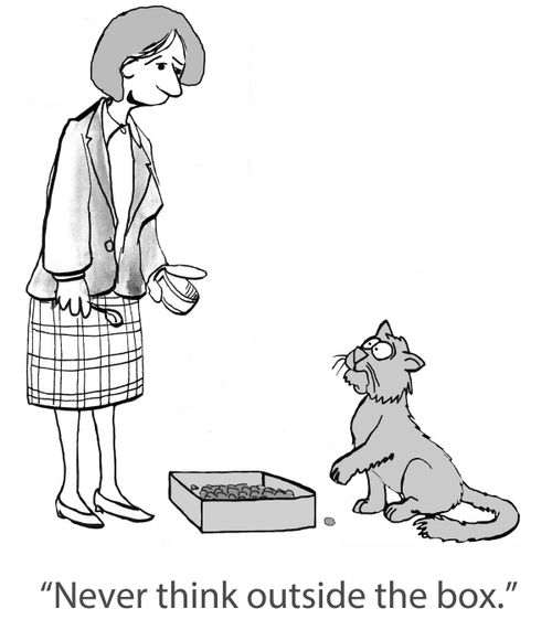 'Never think outside the box.'