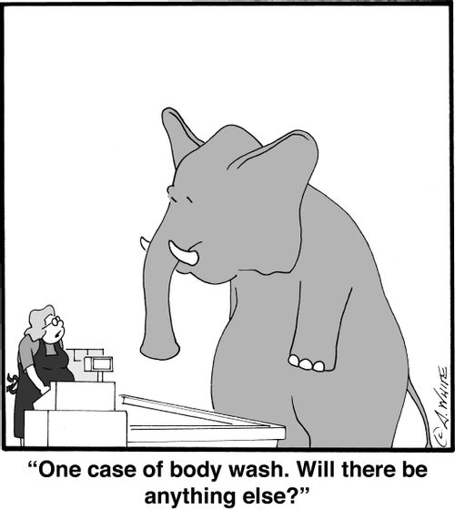 'One case of body wash. Will there be anything else?