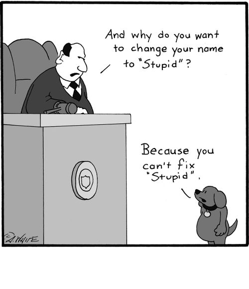 'And why do you want to change your name to 'Stupid'?' 
