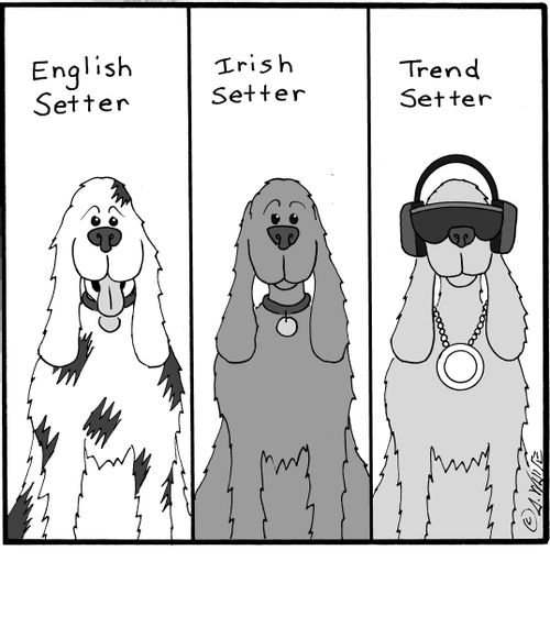 English Setter. Irish Setter. Trend Setter.