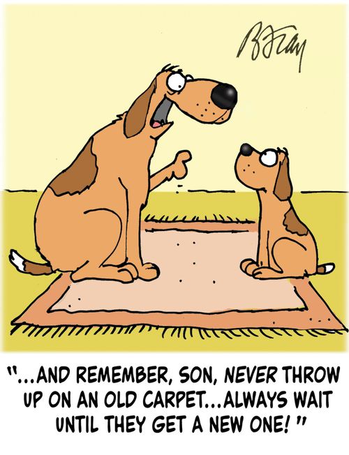 '...and remember, son, never throw up on an old carpet...wait until they get a new one!'