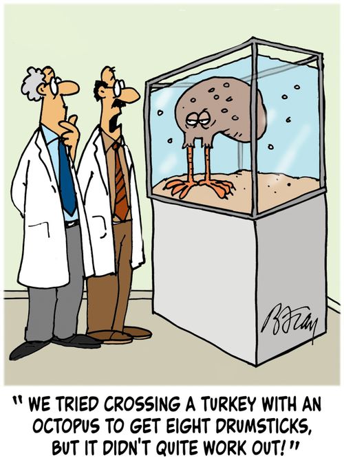 'We tried crossing a turkey with an octopus to get eight drumsticks, but it didn't quite work out!