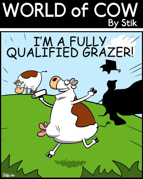 I'm a fully qualified grazer!