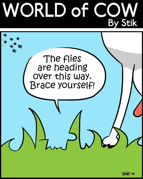 'The flies are heading over this way. Brace yourself.'