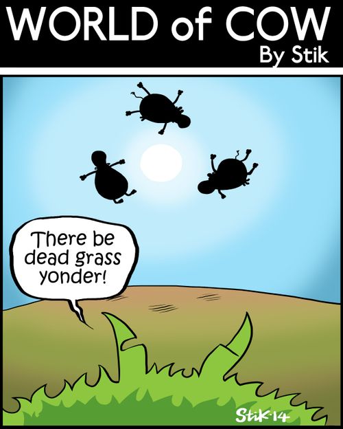 There be dead grass yonder!